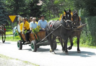 Dożynki 2011 w Strzyżowie