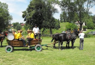 Dożynki 2011 w Strzyżowie