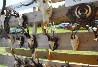 Dożynki 2011 w Strzyżowie