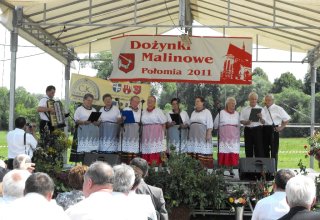 Dożynki 2011 w Strzyżowie