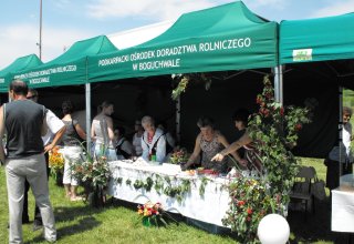 Dożynki 2011 w Strzyżowie