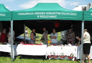 Dożynki Malinowe Połomia 2011