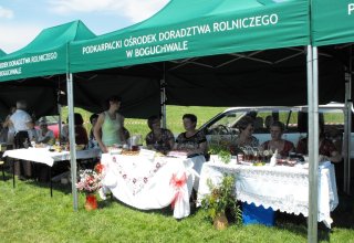 Dożynki 2011 w Strzyżowie