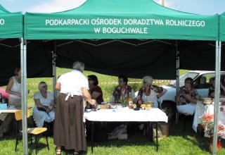 Dożynki 2011 w Strzyżowie