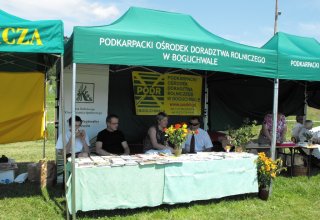 Dożynki Malinowe Połomia 2011