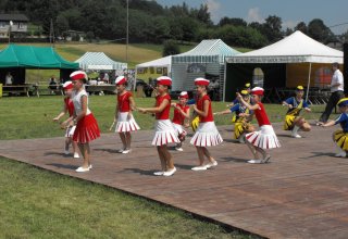 Dożynki Malinowe Połomia 2011