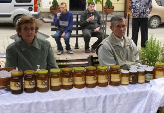 Drugi dzień obchodów Dni Ziemi Frysztackiej 2011