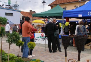 Drugi dzień obchodów Dni Ziemi Frysztackiej 2011