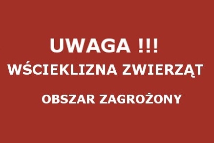 wścieklizna wścieklizna