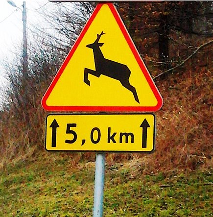 sarny uwaga uwaga na sarny