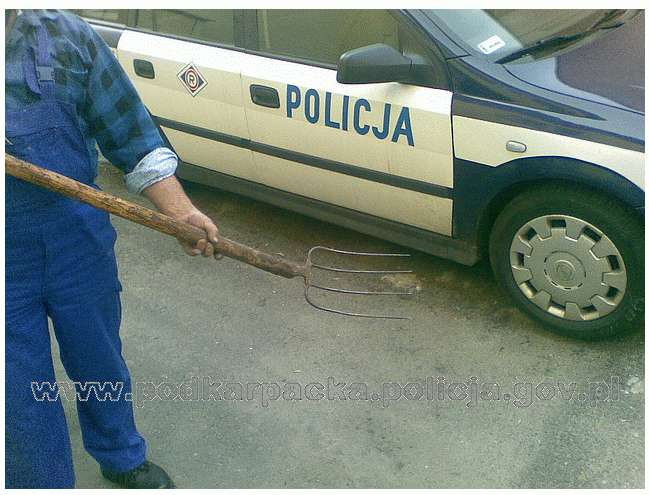widły na policje strzyżów widły na policje