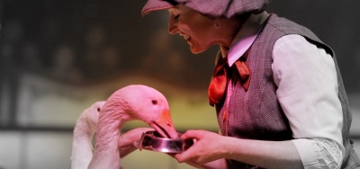 "Powietrzne Fantazje" Cyrku Korona w Strzyżowie! Cyrk Korona w Strzyżowie