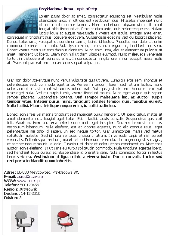 przykładowa prezentacja firmy przykładowa prezentacja firmy